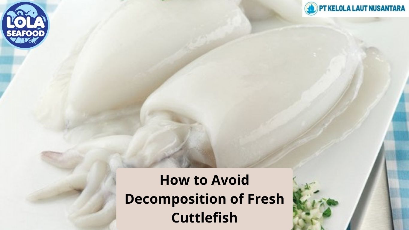 How to Avoid Decomposition of Fresh Cuttlefish